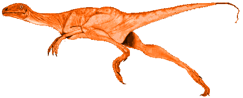 ProCompSognathus